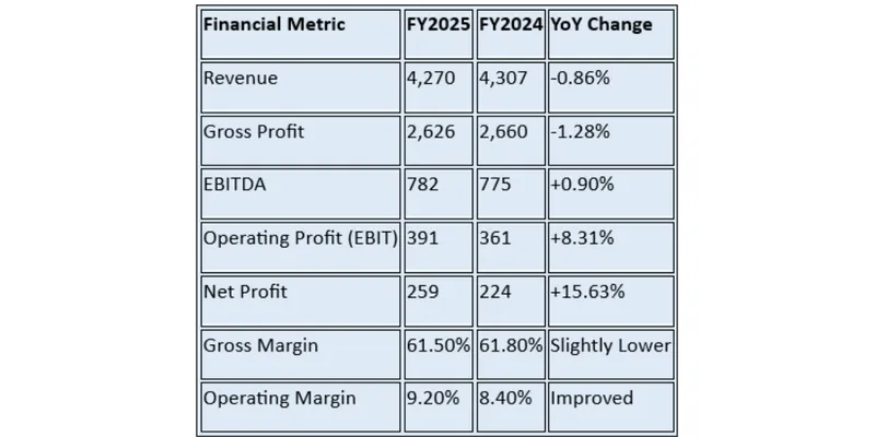 Financial Summary Table
